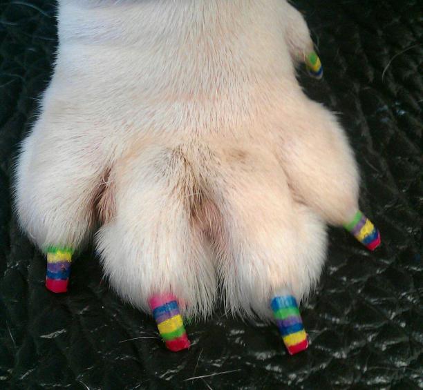 Pawdicures