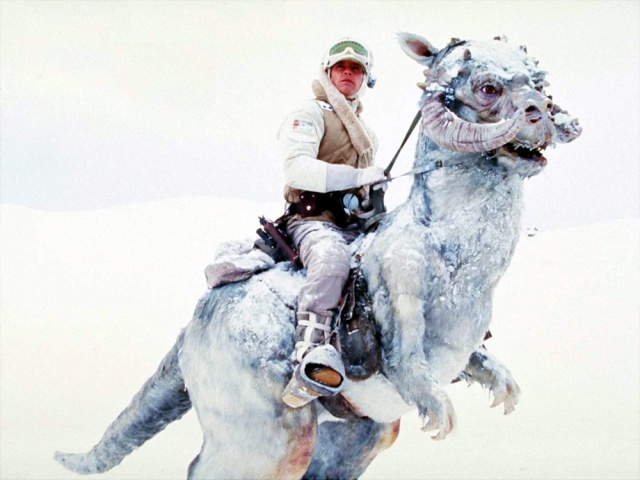 Tauntaun star wars