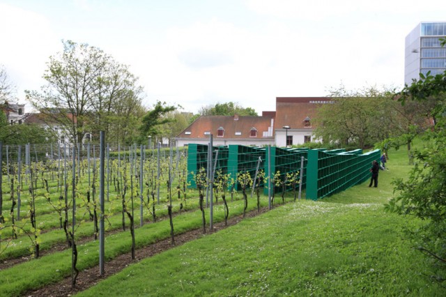 vineyard library