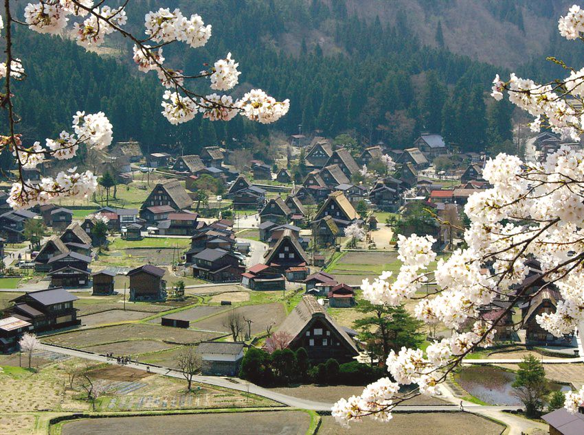 ogimachi rumah tradisional jepang 6