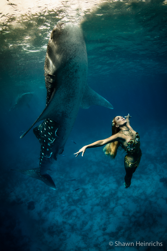 kristian schmidt fashion photo whale shark