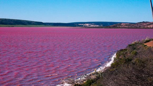 Danau Hillier 5