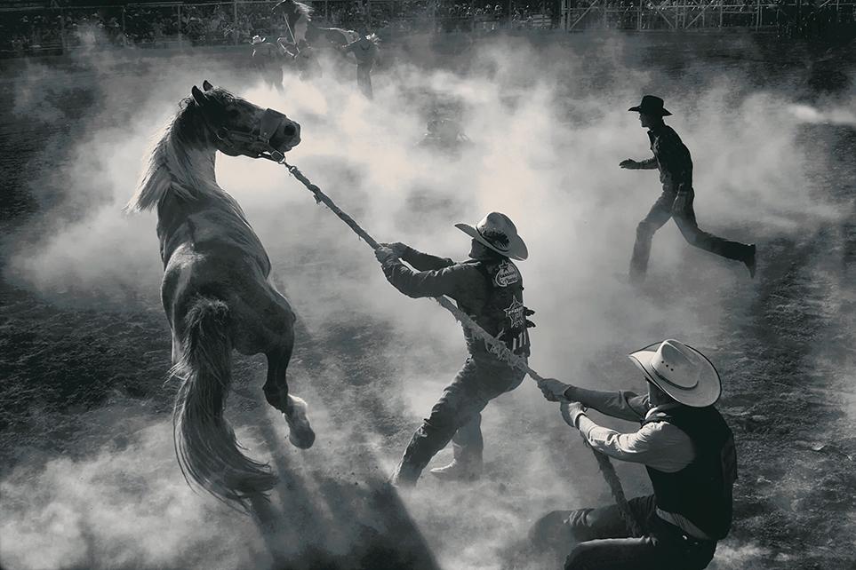 Americana Annual Bucking Horse Sale in Miles City, Montana George Burgin